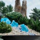 Rock Garden Planters Mini Rock Garden Design With Planters And Stone Make Nice The Decoration That Inspiring Our Design Ideas Garden 17 Amazing Garden Design Ideas With Rocks And Stones Appearance