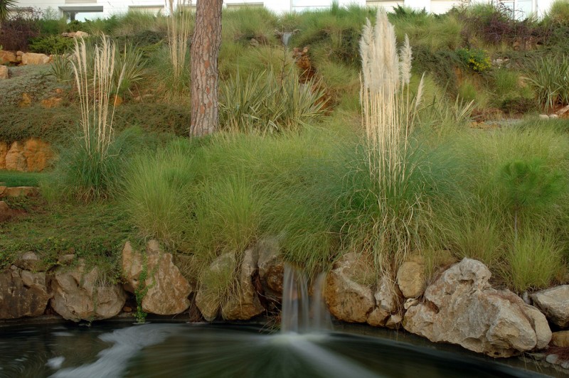 Grasses Mixed Displayed Relaxing Grasses Mixed With Rocks Displayed Along The Edge Of This Is Not A Framed Garden Pond With Waterfall Dream Homes  Elegant Home Covered By Infinity Swimming Pool And Natural Garden View