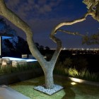 Outdoor Lights Plants Shiny Outdoor Lights Nice Ornamental Plants In Modern Minimalist Garden Beautiful Town Overlooking In Skyline House Dream Homes Affordable Modern Prefabricated Home With Concrete And Glass Structures