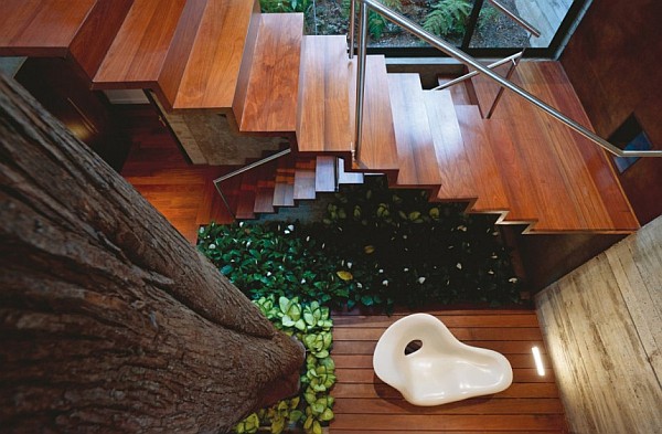 Corallo House Arquitectura Natural Corallo House By Paz Arquitectura Indoor Wooden Staircase With Metallic Balustrade Displaying Indoor Garden Architecture Natural Concrete Home With Wooden Floor And Glass Skylight