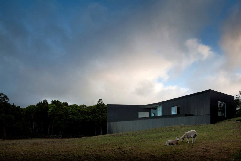 House Cz Arquitectos Bright House CZ By SAMI Arquitectos Exterior Landscaping Idea With Green Manicured Mounts For Sheep Sodding Architecture Fabulous Contemporary Simple House With Great White And Black Colors