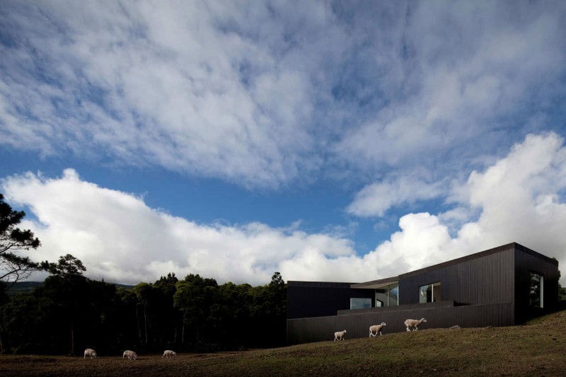 House Cz Arquitectos Large House CZ By SAMI Arquitectos Outdoor Landscaping Idea Dominated By Green Manicured Mounts And Sheep Architecture Fabulous Contemporary Simple House With Great White And Black Colors